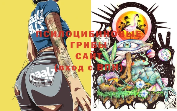 спайс Нефтекумск